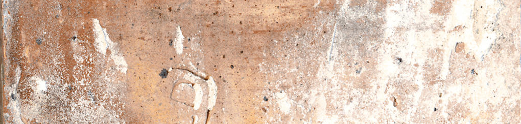 Dlažba Brick Europe Multicolor 6x25