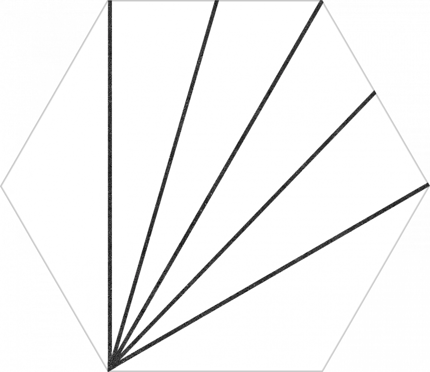 Hexagon Aster Blanco 22x25