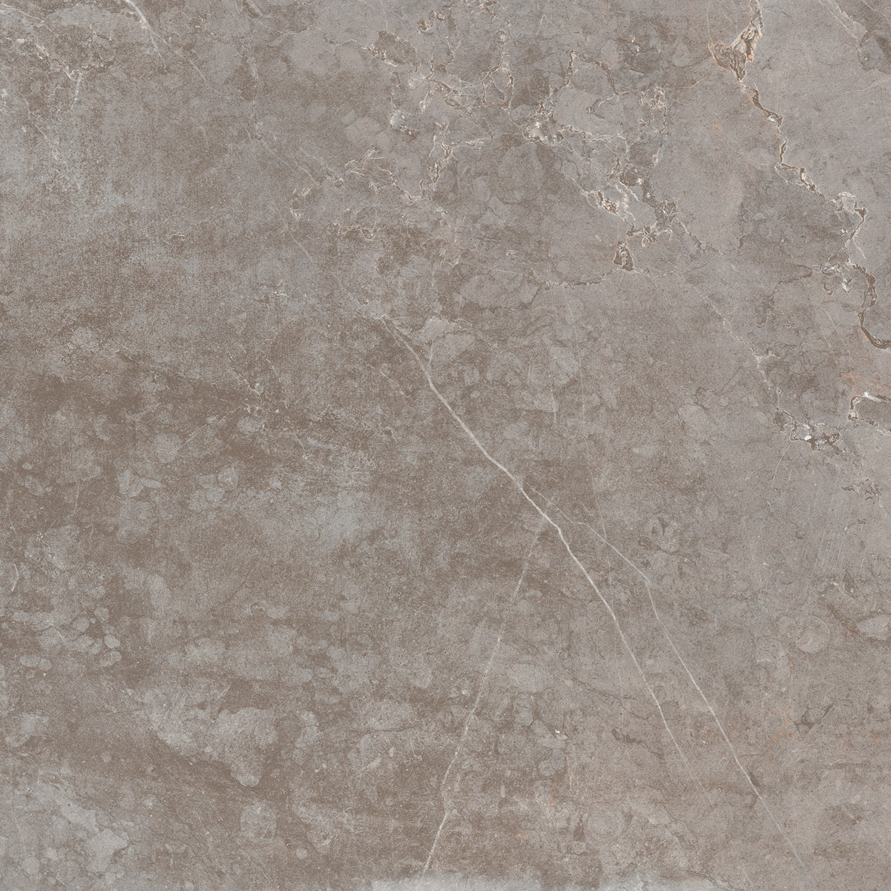 Dlažba Evostone natural 40x80