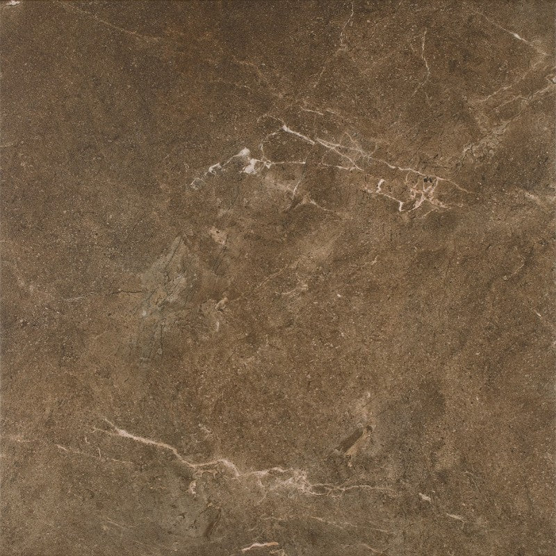 Dlažba Ibis Brown 60x60