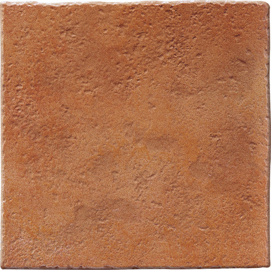 Dlažba Selciaia Rosso R11 25x25