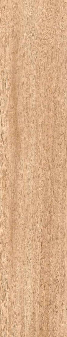 Dlažba Legno Brooklyn Oak 22,5x119,5