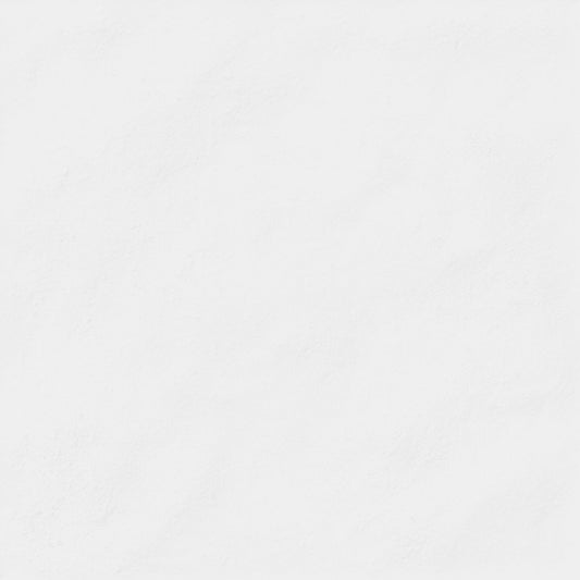 Dlažba Moments Blanco 25x25