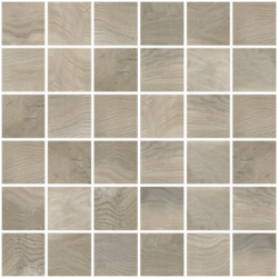 Mozaika Wooden Birch 30 x 30