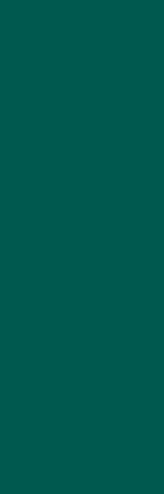 Obklad Botanica Emerald 25x75