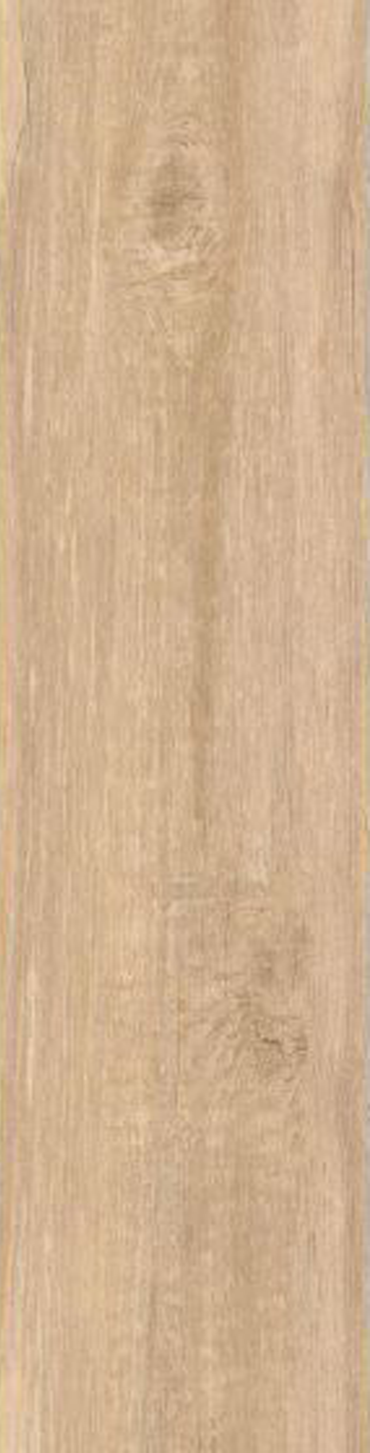 Dlažba Streetwood Honey 15,6x60.6