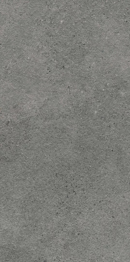 Dlažba Authority Graphite 2.0 Cm 59,5x119,5 R11
