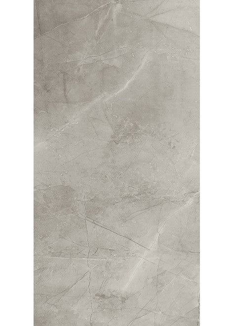 Dlažba Remos grey Rekt. 59,8x119,8